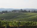 MTBTOSCANA2011  (97)